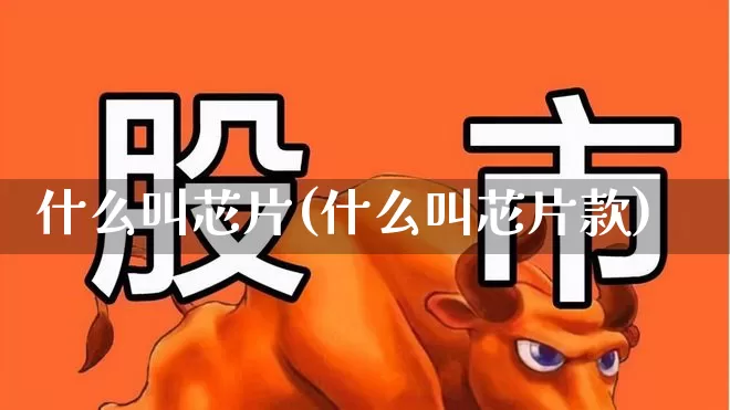 什么叫芯片(什么叫芯片款)_https://www.haiwangdasha.com_科创板_第1张