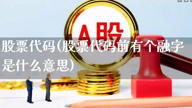 股票代码(股票代码前有个融字是什么意思)_https://www.haiwangdasha.com_上交所_第1张