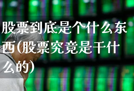 股票到底是个什么东西(股票究竟是干什么的)_https://www.haiwangdasha.com_北交所_第1张