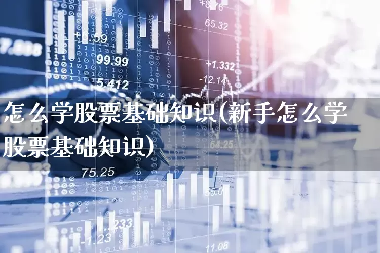 怎么学股票基础知识(新手怎么学股票基础知识)_https://www.haiwangdasha.com_郑商所_第1张