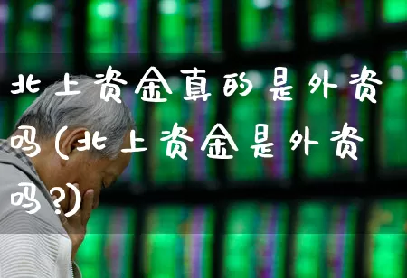 北上资金真的是外资吗(北上资金是外资吗?)_https://www.haiwangdasha.com_深交所_第1张