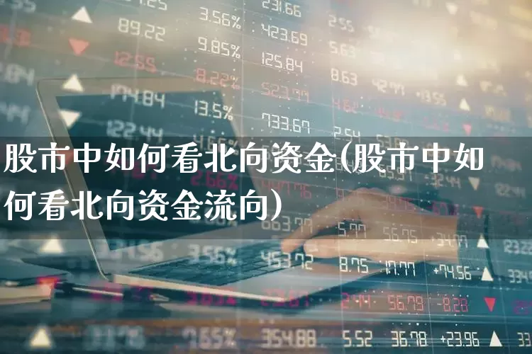 股市中如何看北向资金(股市中如何看北向资金流向)_https://www.haiwangdasha.com_创业板_第1张