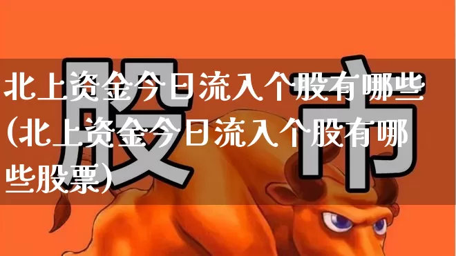 北上资金今日流入个股有哪些(北上资金今日流入个股有哪些股票)_https://www.haiwangdasha.com_科创板_第1张