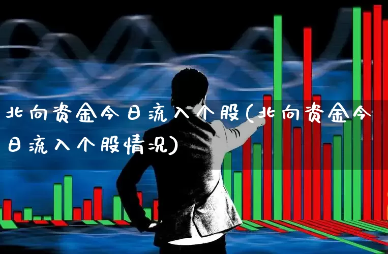 北向资金今日流入个股(北向资金今日流入个股情况)_https://www.haiwangdasha.com_北交所_第1张