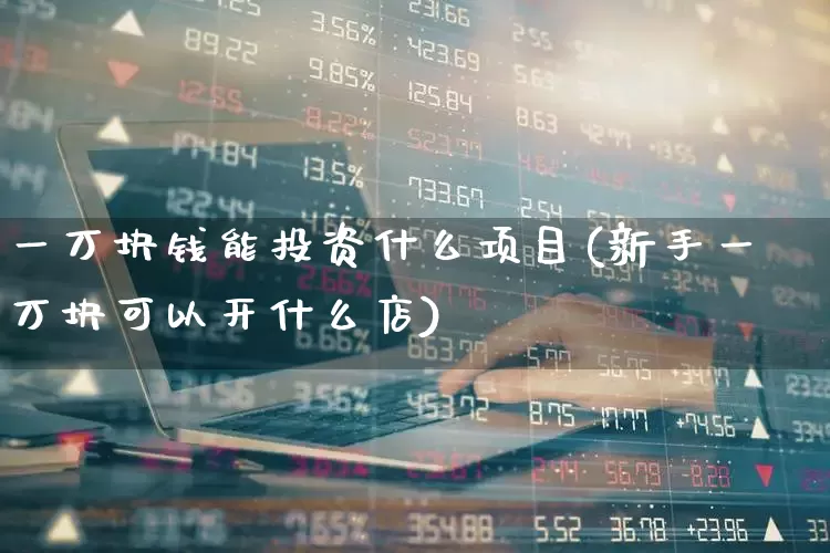 一万块钱能投资什么项目(新手一万块可以开什么店)_https://www.haiwangdasha.com_上交所_第1张
