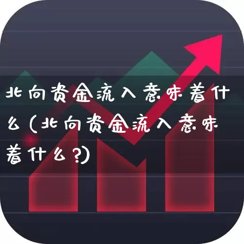 北向资金流入意味着什么(北向资金流入意味着什么?)_https://www.haiwangdasha.com_科创板_第1张
