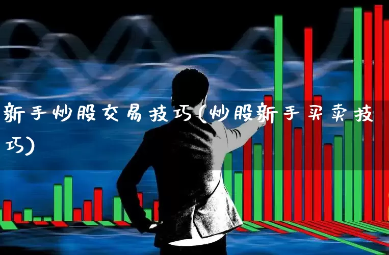 新手炒股交易技巧(炒股新手买卖技巧)_https://www.haiwangdasha.com_上交所_第1张