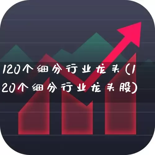 120个细分行业龙头(120个细分行业龙头股)_https://www.haiwangdasha.com_科创板_第1张