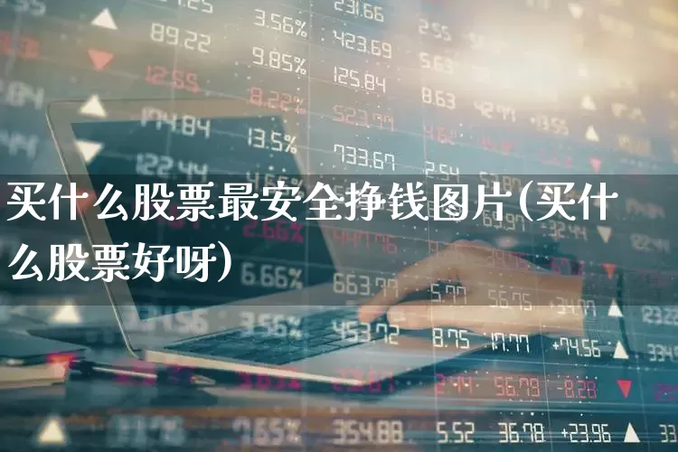 买什么股票最安全挣钱图片(买什么股票好呀)_https://www.haiwangdasha.com_大商所_第1张