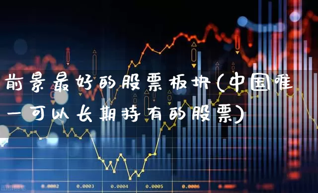 前景最好的股票板块(中国唯一可以长期持有的股票)_https://www.haiwangdasha.com_创业板_第1张