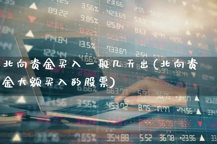 北向资金买入一般几天出(北向资金大额买入的股票)_https://www.haiwangdasha.com_科创板_第1张