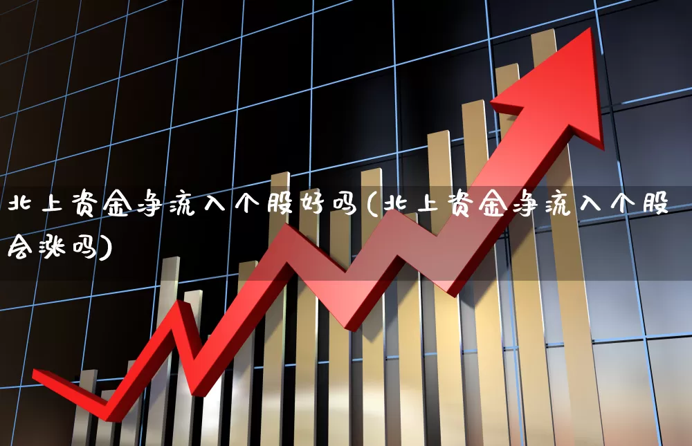 北上资金净流入个股好吗(北上资金净流入个股会涨吗)_https://www.haiwangdasha.com_科创板_第1张