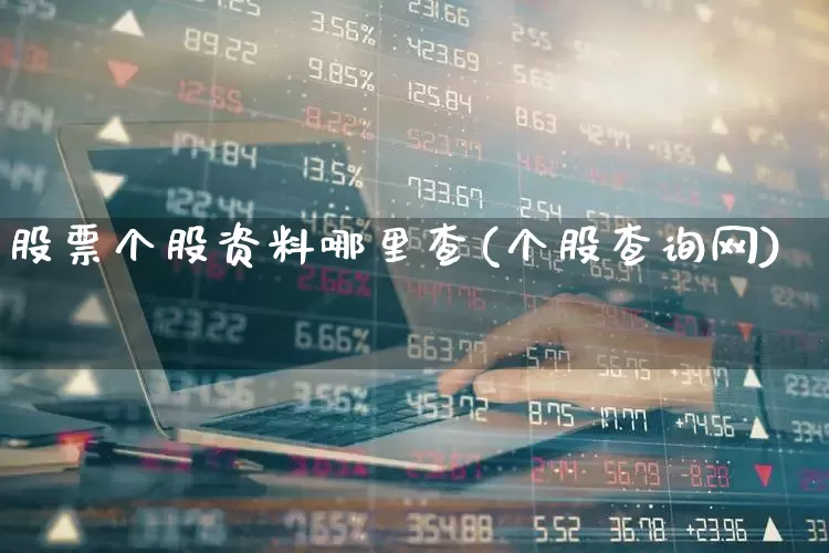 股票个股资料哪里查(个股查询网)_https://www.haiwangdasha.com_大商所_第1张
