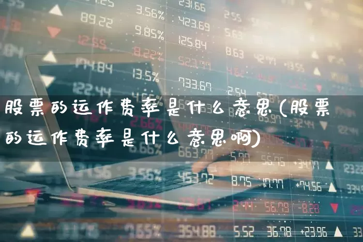 股票的运作费率是什么意思(股票的运作费率是什么意思啊)_https://www.haiwangdasha.com_科创板_第1张