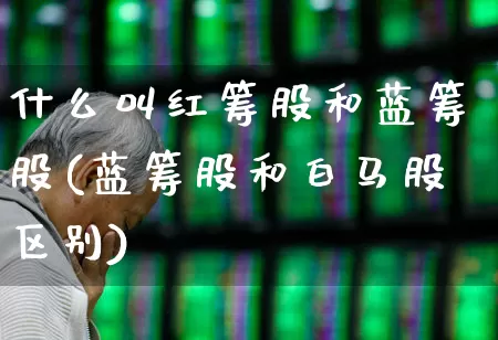 什么叫红筹股和蓝筹股(蓝筹股和白马股区别)_https://www.haiwangdasha.com_北交所_第1张