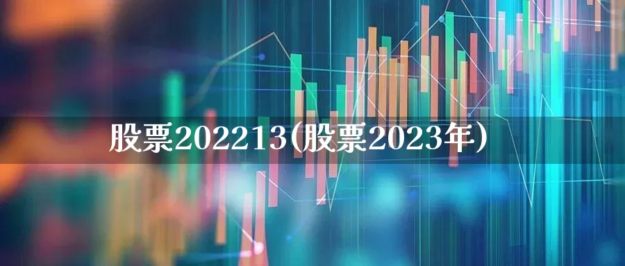 股票202213(股票2023年)_https://www.haiwangdasha.com_创业板_第1张