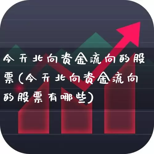 今天北向资金流向的股票(今天北向资金流向的股票有哪些)_https://www.haiwangdasha.com_上交所_第1张