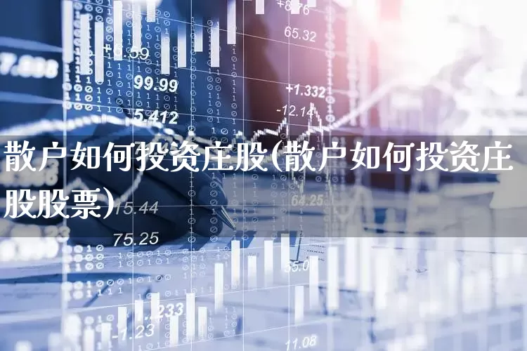 散户如何投资庄股(散户如何投资庄股股票)_https://www.haiwangdasha.com_深交所_第1张