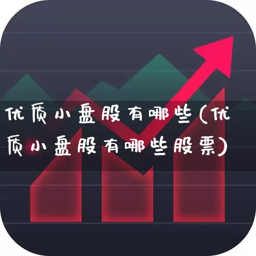 优质小盘股有哪些(优质小盘股有哪些股票)_https://www.haiwangdasha.com_上交所_第1张