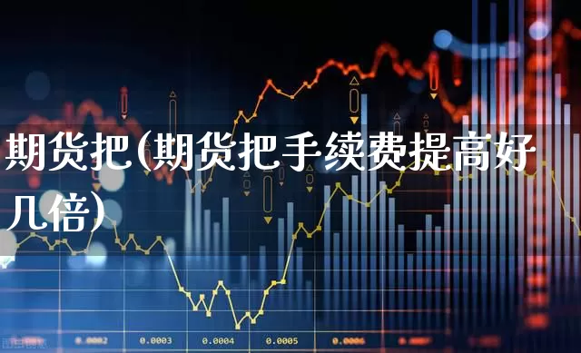 期货把(期货把手续费提高好几倍)_https://www.haiwangdasha.com_广期所_第1张