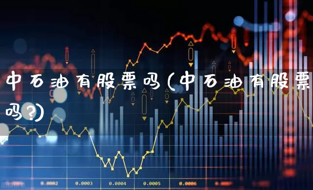 中石油有股票吗(中石油有股票吗?)_https://www.haiwangdasha.com_上交所_第1张