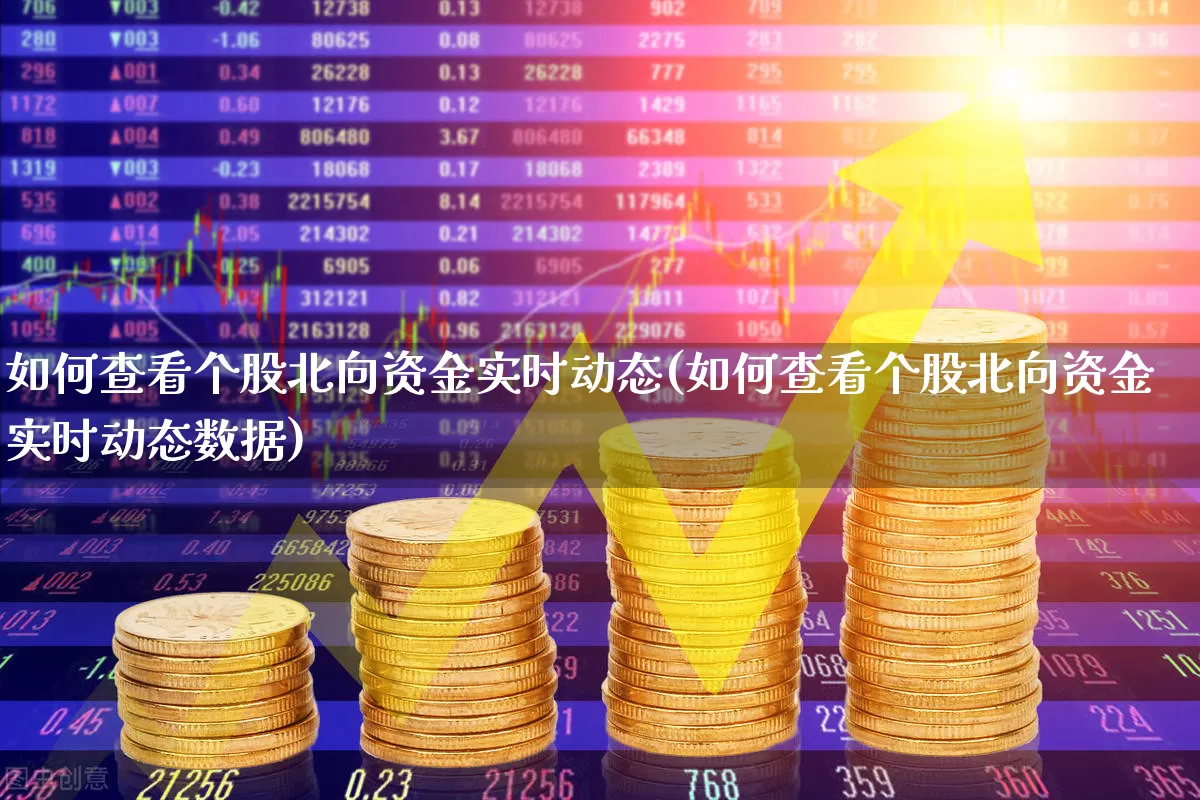 如何查看个股北向资金实时动态(如何查看个股北向资金实时动态数据)_https://www.haiwangdasha.com_科创板_第1张