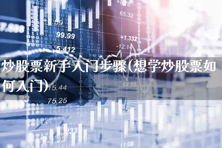 炒股票新手入门步骤(想学炒股票如何入门)_https://www.haiwangdasha.com_上交所_第1张