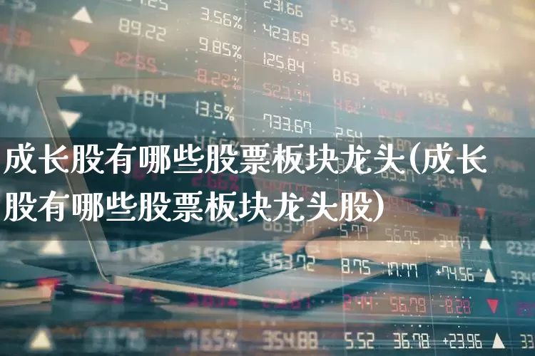 成长股有哪些股票板块龙头(成长股有哪些股票板块龙头股)_https://www.haiwangdasha.com_创业板_第1张