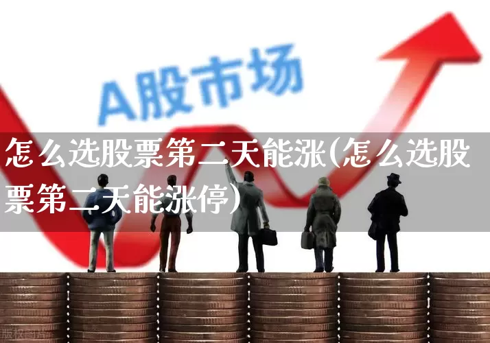 怎么选股票第二天能涨(怎么选股票第二天能涨停)_https://www.haiwangdasha.com_深交所_第1张