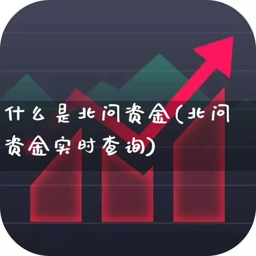 什么是北问资金(北问资金实时查询)_https://www.haiwangdasha.com_科创板_第1张