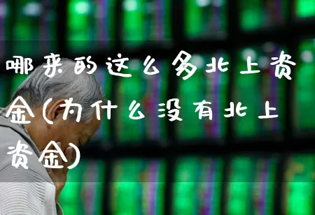 哪来的这么多北上资金(为什么没有北上资金)_https://www.haiwangdasha.com_创业板_第1张