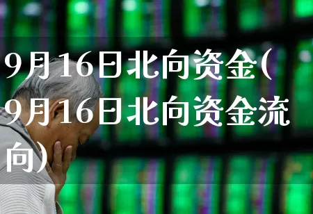 9月16日北向资金(9月16日北向资金流向)_https://www.haiwangdasha.com_上交所_第1张