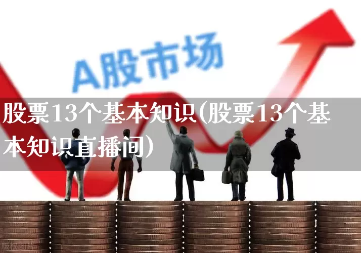 股票13个基本知识(股票13个基本知识直播间)_https://www.haiwangdasha.com_科创板_第1张