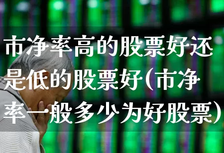 市净率高的股票好还是低的股票好(市净率一般多少为好股票)_https://www.haiwangdasha.com_创业板_第1张