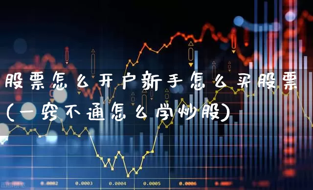 股票怎么开户新手怎么买股票(一窍不通怎么学炒股)_https://www.haiwangdasha.com_北交所_第1张