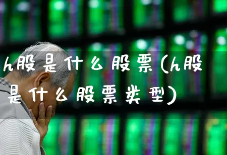 h股是什么股票(h股是什么股票类型)_https://www.haiwangdasha.com_深交所_第1张