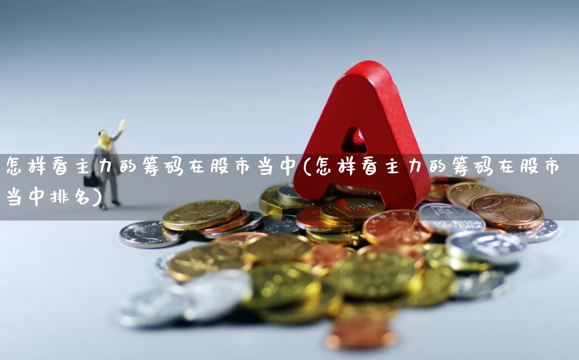 怎样看主力的筹码在股市当中(怎样看主力的筹码在股市当中排名)_https://www.haiwangdasha.com_郑商所_第1张