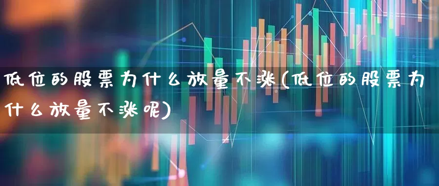 低位的股票为什么放量不涨(低位的股票为什么放量不涨呢)_https://www.haiwangdasha.com_科创板_第1张