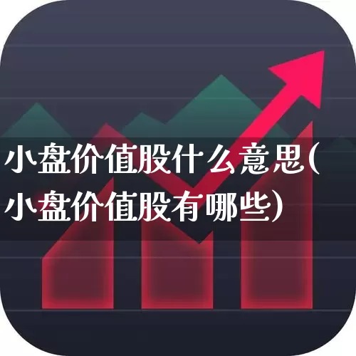 小盘价值股什么意思(小盘价值股有哪些)_https://www.haiwangdasha.com_北交所_第1张