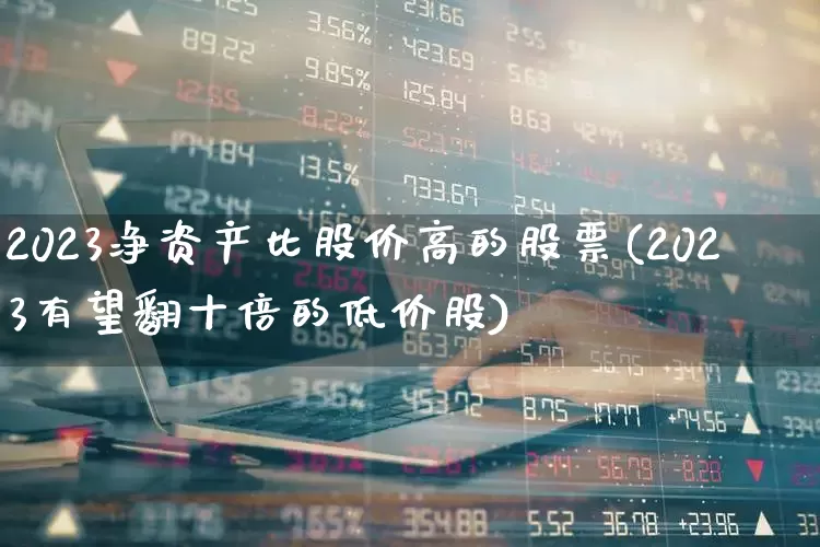 2023净资产比股价高的股票(2023有望翻十倍的低价股)_https://www.haiwangdasha.com_深交所_第1张