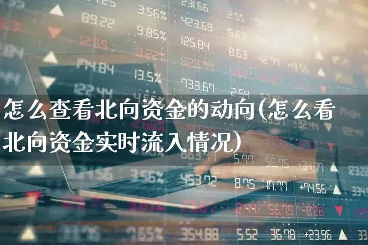 怎么查看北向资金的动向(怎么看北向资金实时流入情况)_https://www.haiwangdasha.com_上交所_第1张