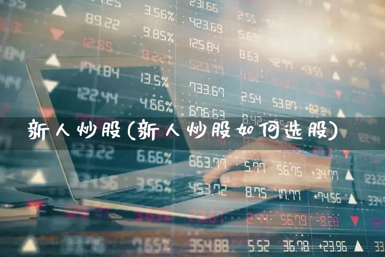 新人炒股(新人炒股如何选股)_https://www.haiwangdasha.com_深交所_第1张