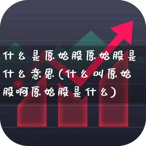 什么是原始股原始股是什么意思(什么叫原始股啊原始股是什么)_https://www.haiwangdasha.com_深交所_第1张