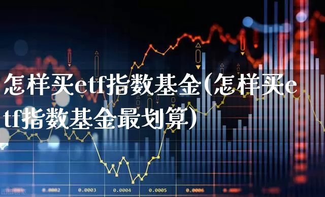 怎样买etf指数基金(怎样买etf指数基金最划算)_https://www.haiwangdasha.com_深交所_第1张