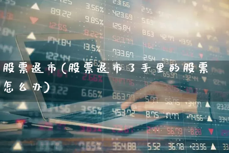 股票退市(股票退市了手里的股票怎么办)_https://www.haiwangdasha.com_创业板_第1张