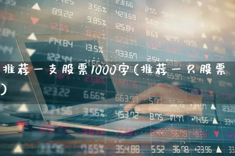 推荐一支股票1000字(推荐一只股票)_https://www.haiwangdasha.com_上交所_第1张