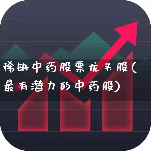 稀缺中药股票龙头股(最有潜力的中药股)_https://www.haiwangdasha.com_深交所_第1张