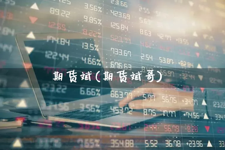 期货斌(期货斌哥)_https://www.haiwangdasha.com_广期所_第1张