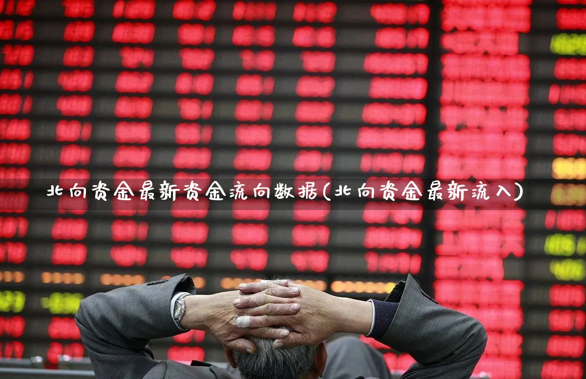 北向资金最新资金流向数据(北向资金最新流入)_https://www.haiwangdasha.com_上交所_第1张