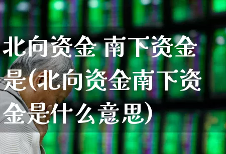 北向资金 南下资金是(北向资金南下资金是什么意思)_https://www.haiwangdasha.com_科创板_第1张